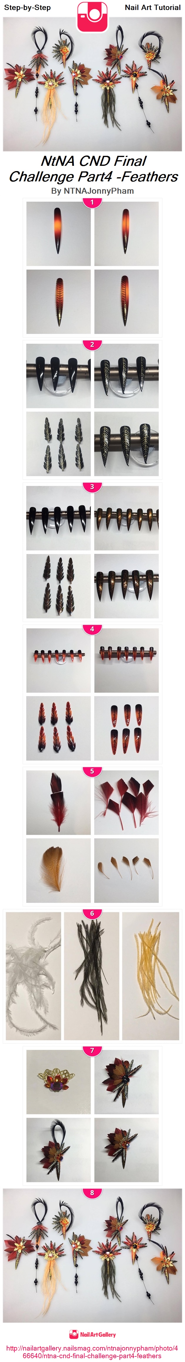 NtNA CND Final Challenge Part4 -Feathers - Nail Art Gallery