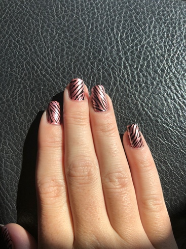 Pink Metallic Zebra 