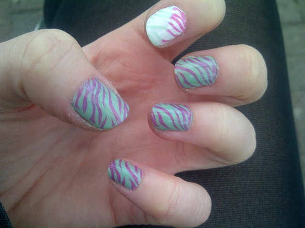 Mixed zebra nails