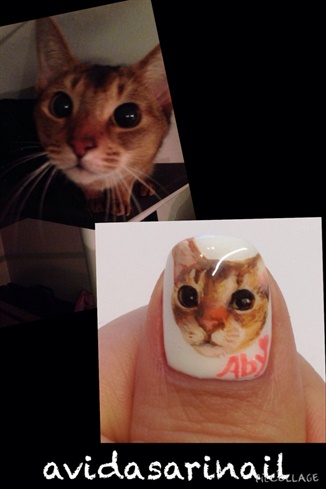 cat painting nail