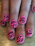 Hot Pink Zebra
