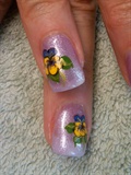 pansy for terri