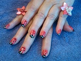 ladybugs and blooms