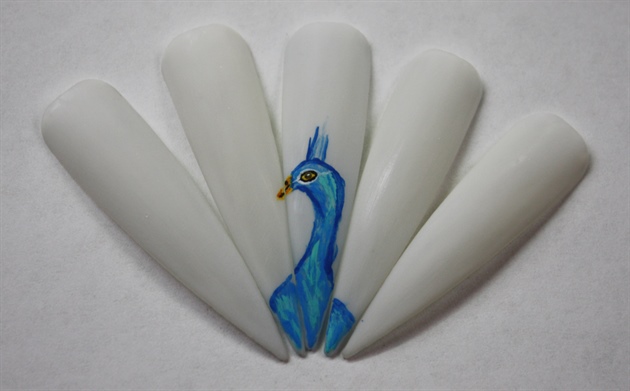 I placed the nail tips together and just started working on the body of the peacock since I wanted him to be in the center of my design. I used a dark blue, light blue, and a teal color. 