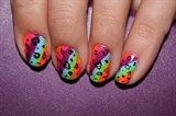 rainbow &amp; cheetah