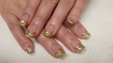gold shells