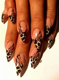 wild nails