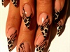 wild nails