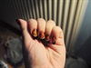 Tiger nails with black french
