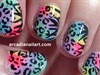 Rainbow Leopard &amp; Zebra Print Nails