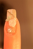 3d roses and pearls