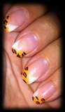 freehand leopard