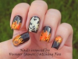 Inspired by Catching fire