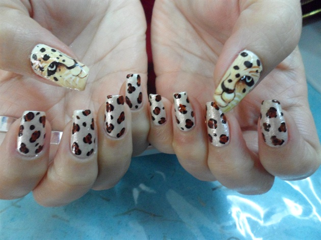 Leopard Face and Leopard Print