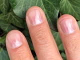 My polished nature nails 