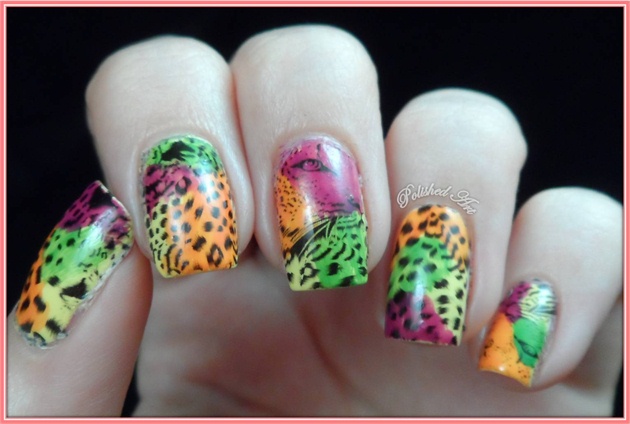 The Most Fantabulous Water Decals In The