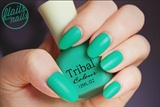 Tribal Candy Color Frosted Matte Glossy 