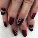 Leopard with matte topcoat