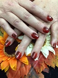 Fall Colors Ombre