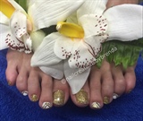 Gold And White Toes