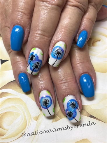 Blue dandelions