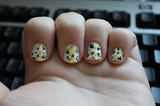 Black and Yellow Leopard