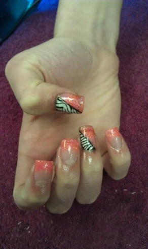 coral and zebra