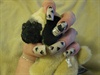 My Pug Nails enspired by Sammystaines!
