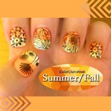 ✿Stamping Nail Art Designs- BP-46✿