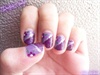 Purple &amp; Violet Flower