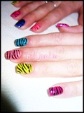 Multi-Color Zebra Nails
