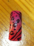 Marble with animal print 2