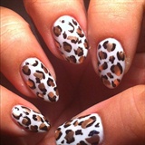 white &amp; gold leopard