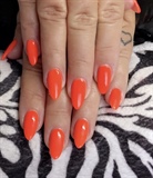 Neon Orange 