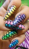 Colorful snake skin