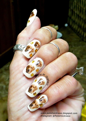 Golden Retriever nail decals