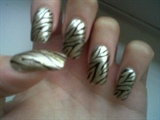 gold zebra