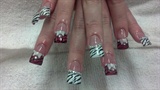 zebra tips with 3d