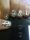 White and Gold Leopard