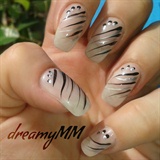 Black and Silver Stripes