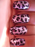 Pink Chrome Leopard