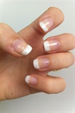 French Tip Shellac 