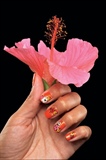 hibiscus Nails