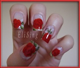 Red china roses