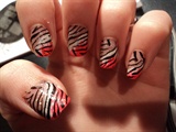 Zebra in pink and white