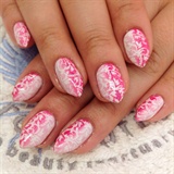 Ombre Pink Lace