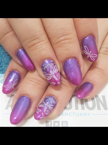 Dragonfly Ombr&#233; 