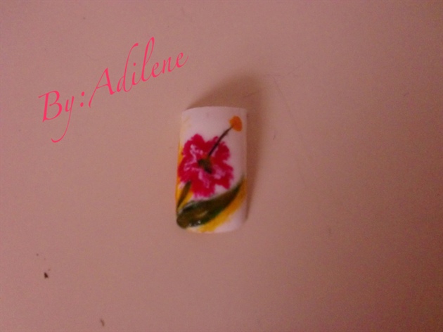 Adilene&#39;s nails art