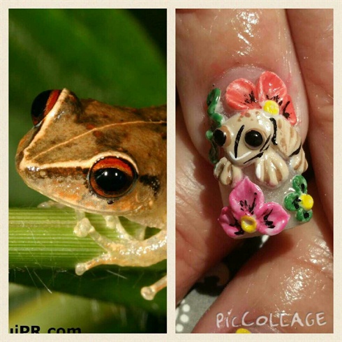 3d Coqui (frog)