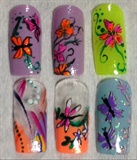 Butterflies Dragonflies &amp; Flowers!